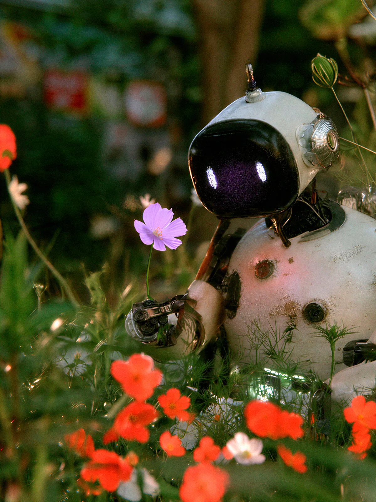 White robot with glowing eyes holding a purple flower among red and white wildflowers